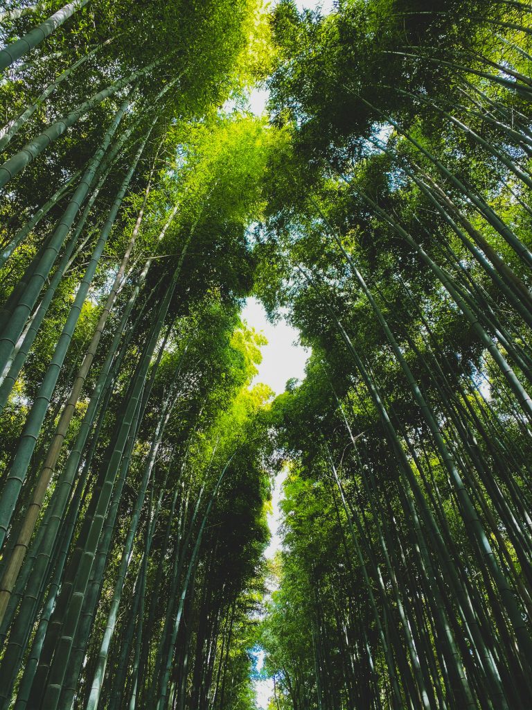 environment trees